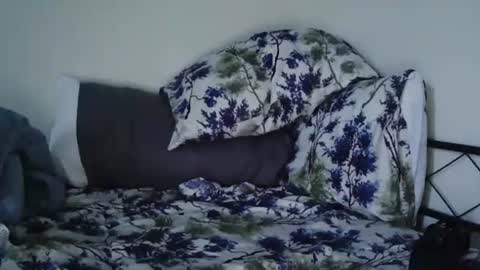 Bruc12168 fit slim new makemecum bigdick edging online show from 20, 2, 2025