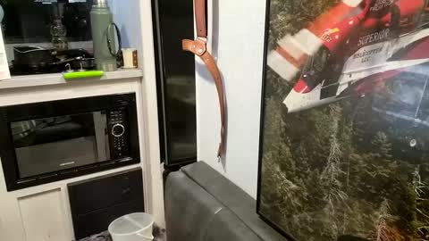 Steve... aka SkinnieDippin aka TimberTramp online show from 21, 2, 2025