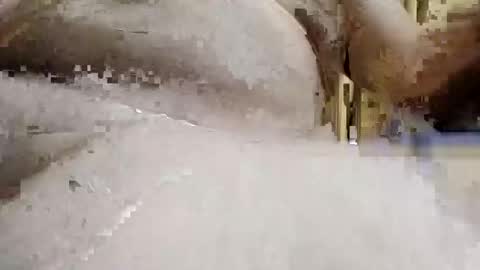 Snapshot of bryancody227 chatting on 15, 9, 2025 bryancody227 online show from 15, 9, 2025