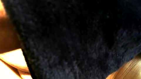 Buck online show from 15, 3, 2026