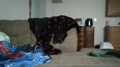 Bud42o online show from 9, 9, 2025