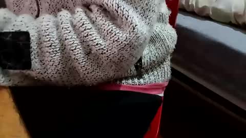 bullspain27266272 online show from 5, 2, 2025