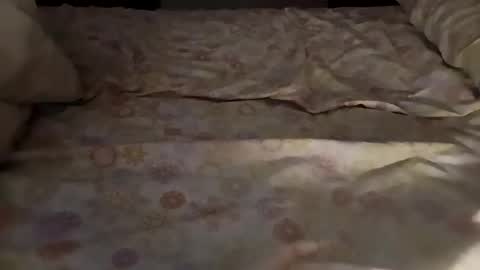 bullspain27266272 online show from 3, 3, 2025