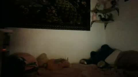 Snapshot of bunn13cat chatting on 17, 3, 2026 bunn13cat online show from 17, 3, 2026