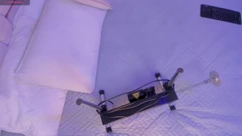 bunny_blush1 online show from 30, 3, 2026