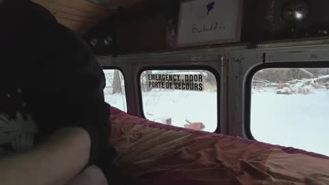 busbuddies online show from 29, 12, 2024