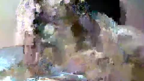 Snapshot of butler_yung chatting on 12, 5, 2026 butler_yung online show from 12, 5, 2026