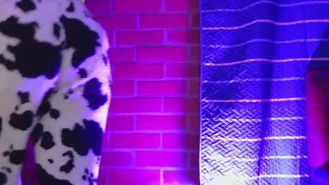 Mary  online show from 3, 2, 2025