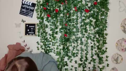 butterfly booty online show from 14, 11, 2025