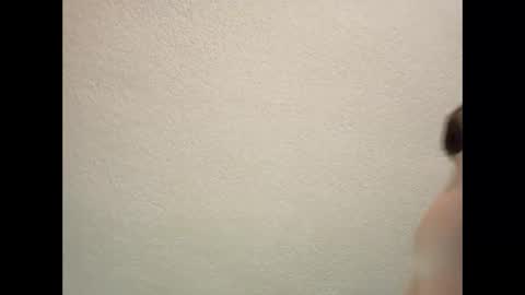 bwczaddy69 online show from 12, 12, 2024