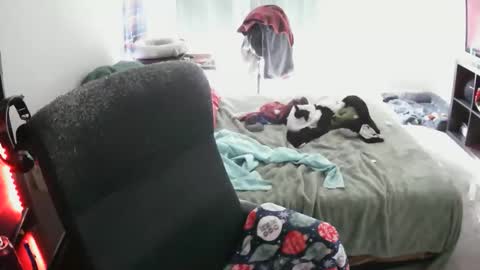 bxbydior online show from 13, 12, 2025