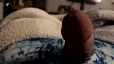 Snapshot of byrdbean chatting on 17, 1, 2026 byrdbean online show from 17, 1, 2026