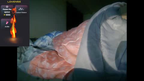 bzxxbzh online show from 17, 12, 2024