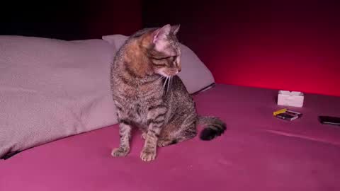 CQ online show from 24, 2, 2025