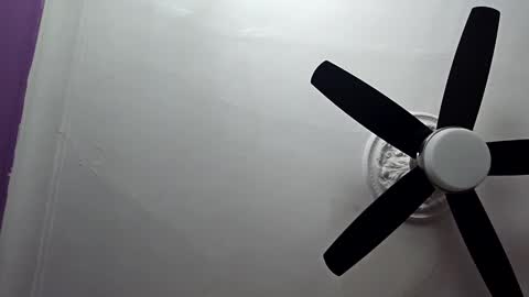 Loveittt online show from 2, 3, 2025