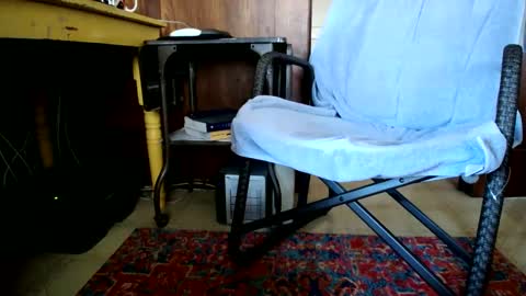 Cal online show from 4, 12, 2024