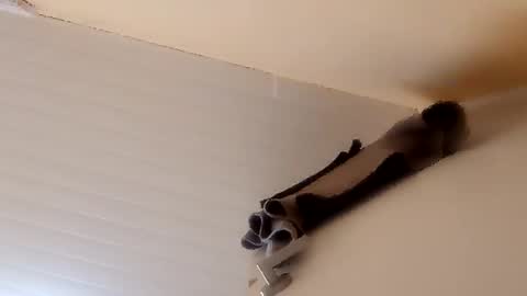 camilarubla online show from 1, 12, 2025