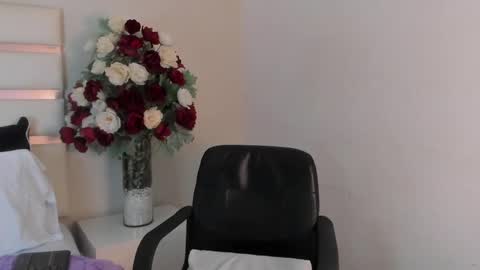 Snapshot of camilasofiia chatting on 17, 12, 2024 Camila online show from 17, 12, 2024