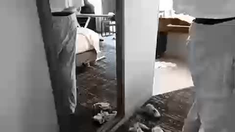 cammyman6900 online show from 25, 3, 2026