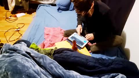 camtai12 online show from 1, 3, 2025