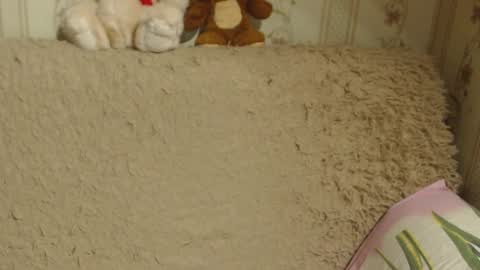 say meow and send tip  online show from 13, 12, 2024