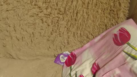 say meow and send tip  online show from 22, 12, 2024