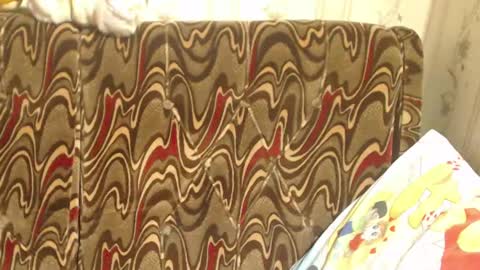 say meow and send tip  online show from 2, 3, 2025