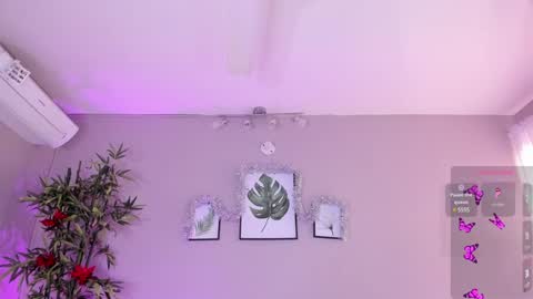 Isabella online show from 2, 12, 2024