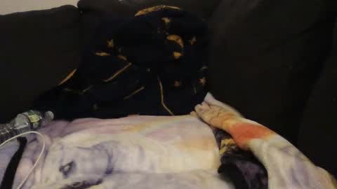     online show from 14, 9, 2025