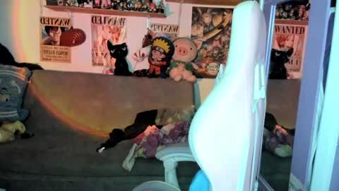 Snapshot of canndy_new chatting on 24, 6, 2026 Canndyy Daniela online show from 24, 6, 2026