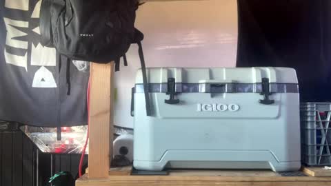 CAP online show from 17, 9, 2025