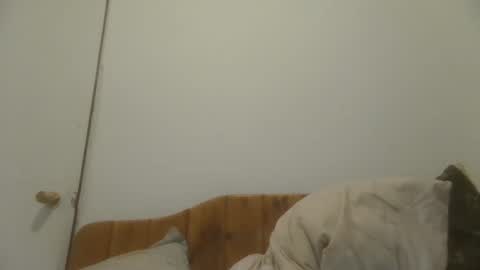 Snapshot of caravibugue chatting on 7, 12, 2024 caravibugue online show from 7, 12, 2024