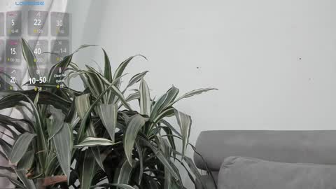 carolina_t online show from 22, 1, 2025