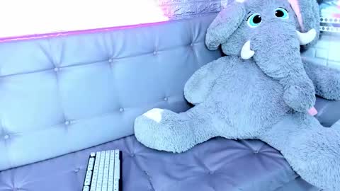 Snapshot of carolinejesh chatting on 17, 2, 2026 carolinejesh online show from 17, 2, 2026