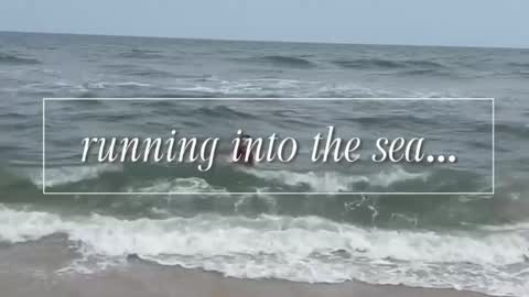 carrie madsin online show from 12, 4, 2026