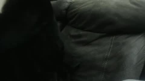 Snapshot of casidy1 chatting on 23, 1, 2025 casidy1 online show from 23, 1, 2025