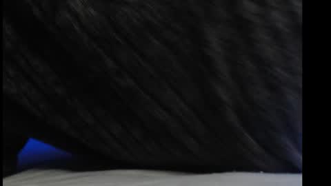 Snapshot of casidy1 chatting on 6, 3, 2025 casidy1 online show from 6, 3, 2025