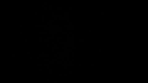 Snapshot of cata_n_cami chatting on 21, 12, 2024 cata_n_cami online show from 21, 12, 2024