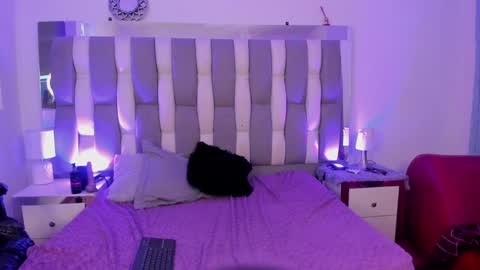 Snapshot of catarsiss_moon chatting on 7, 12, 2024 Cat online show from 7, 12, 2024