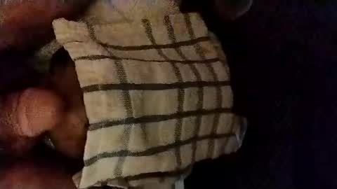 catdaddy179057 online show from 16, 10, 2025