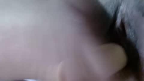 Snapshot of cattleya1618 chatting on 21, 12, 2024 cattleya online show from 21, 12, 2024