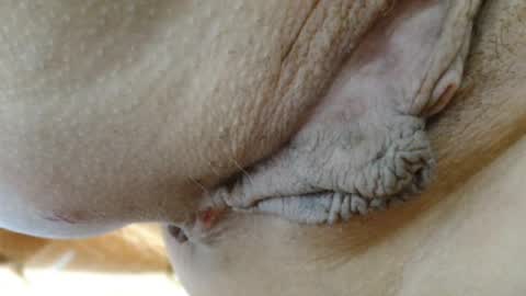 Snapshot of cbz112233 chatting on 24, 3, 2026 ANNYANNY online show from 24, 3, 2026