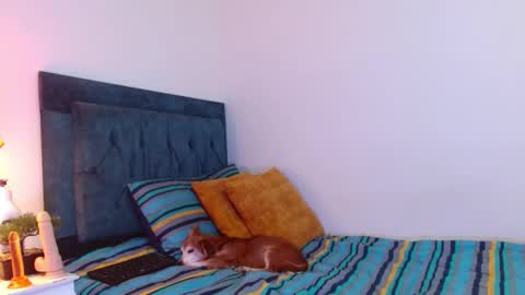 Cedrixx10 online show from 19, 12, 2025