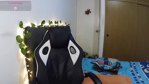 Cerso online show from 3, 12, 2024