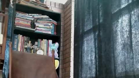 Snapshot of cguffey2284 chatting on 18, 2, 2025 cguffey2284 online show from 18, 2, 2025