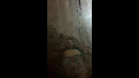 chacal6311 online show from 9, 2, 2026