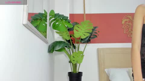 C H A R L O T E online show from 1, 3, 2026