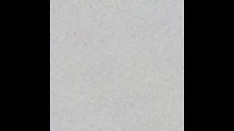 Charlotte online show from 8, 9, 2025