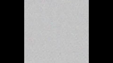 Charlotte online show from 11, 10, 2025