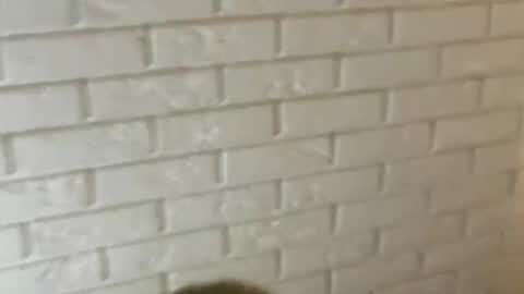 Snapshot of charlottebunnyuwu chatting on 12, 2, 2025 charlottebunnyuwu online show from 12, 2, 2025